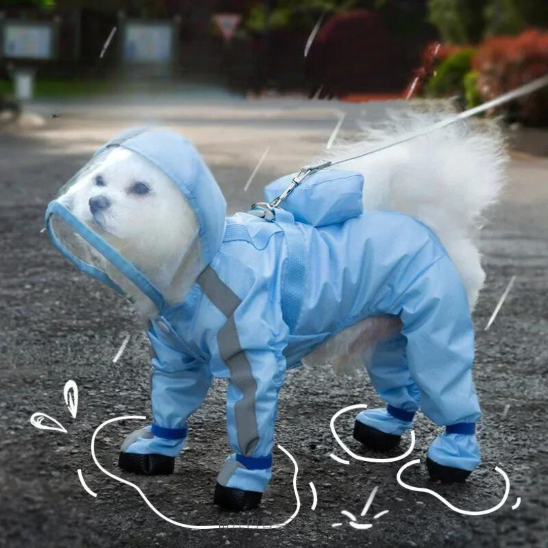 Capa de Chuva Pet Djudi – Casa Pet Loja, image size:1080x1080