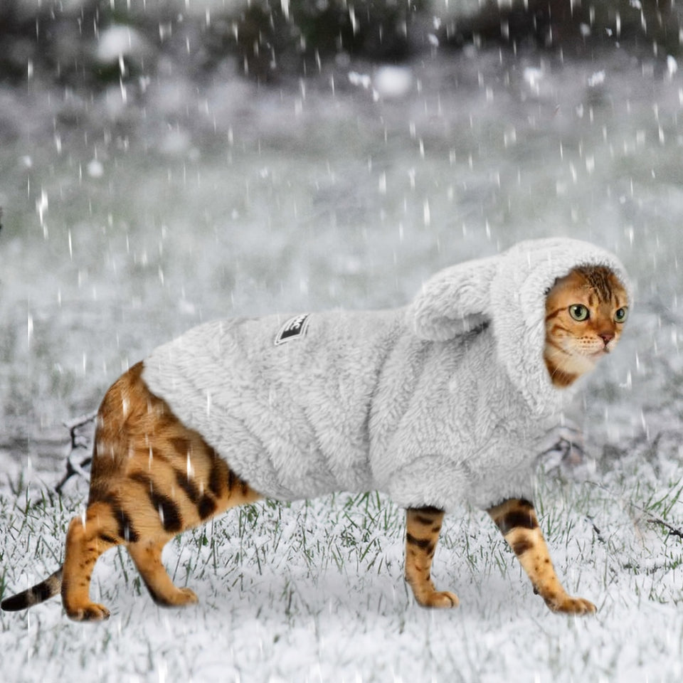 Casaquinho Inverno Kitten