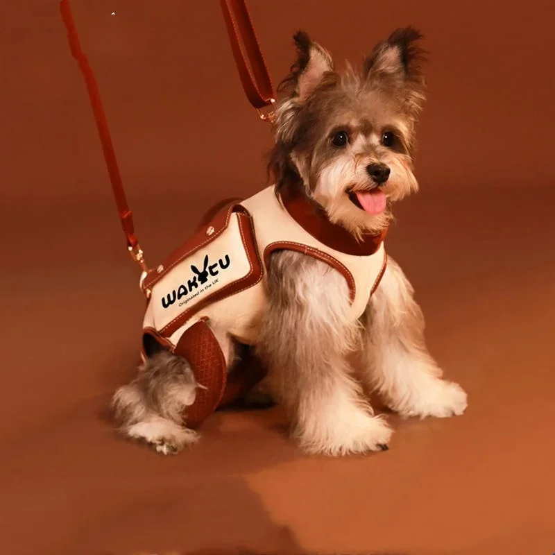 Mochila/Coleira com Elevação Pet Board