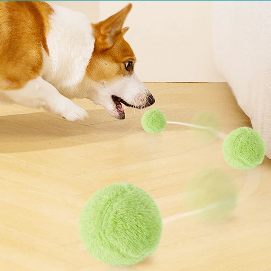 Conjunto Bolinha Automática Truck