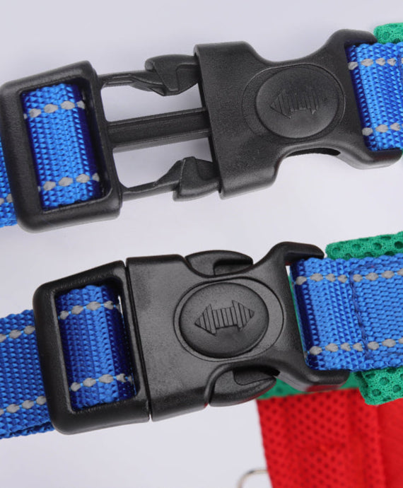 Coleira Pet Sem Restrição Touch