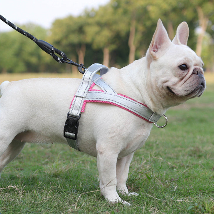 Coleira Pet Sem Restrição Touch