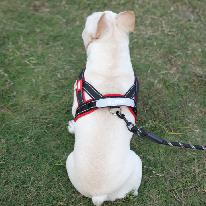 Coleira Pet Sem Restrição Touch