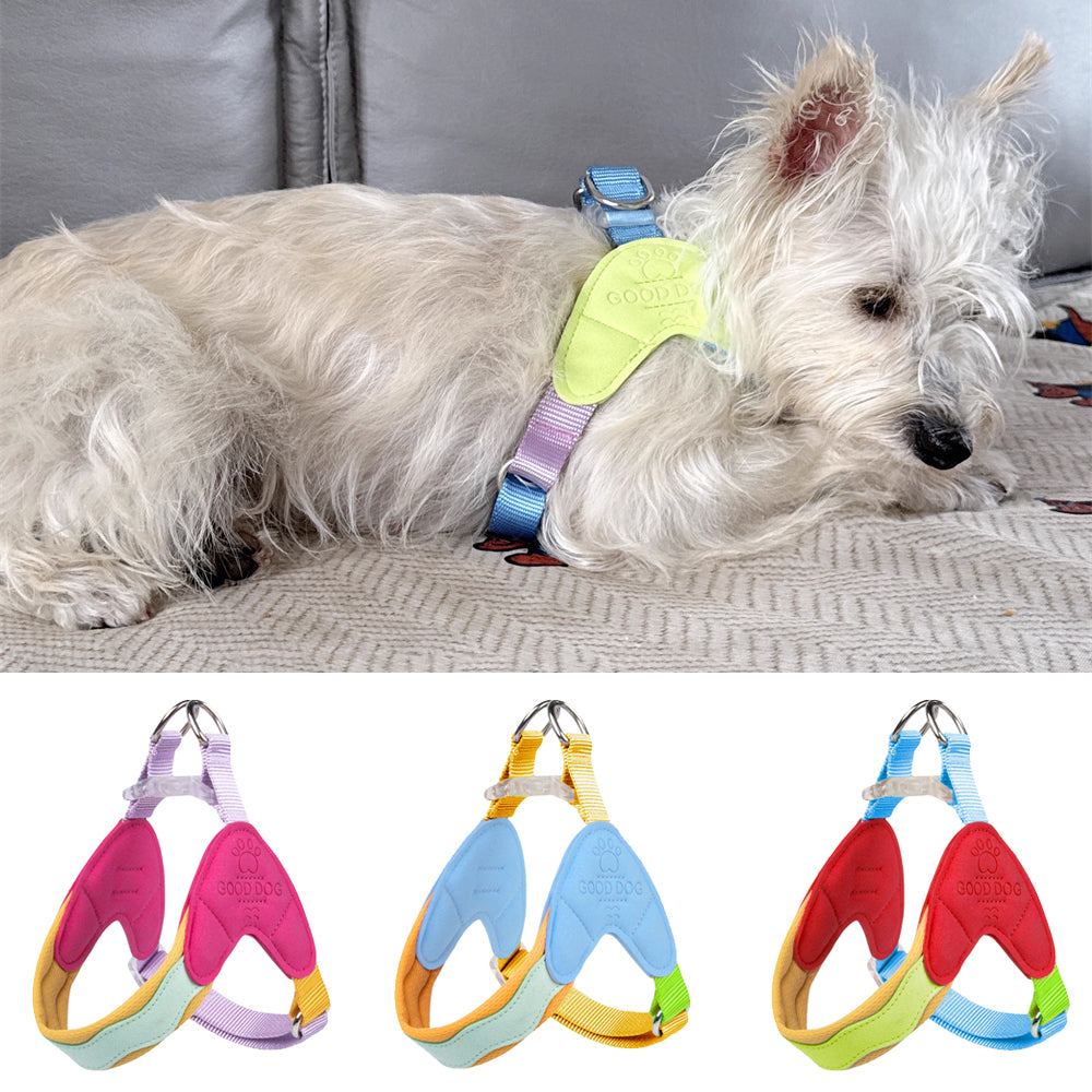 Coleira Pet Anti-puxão Pawslove