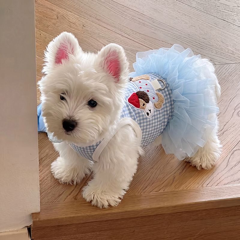 Vestido Pet Tule Smiles