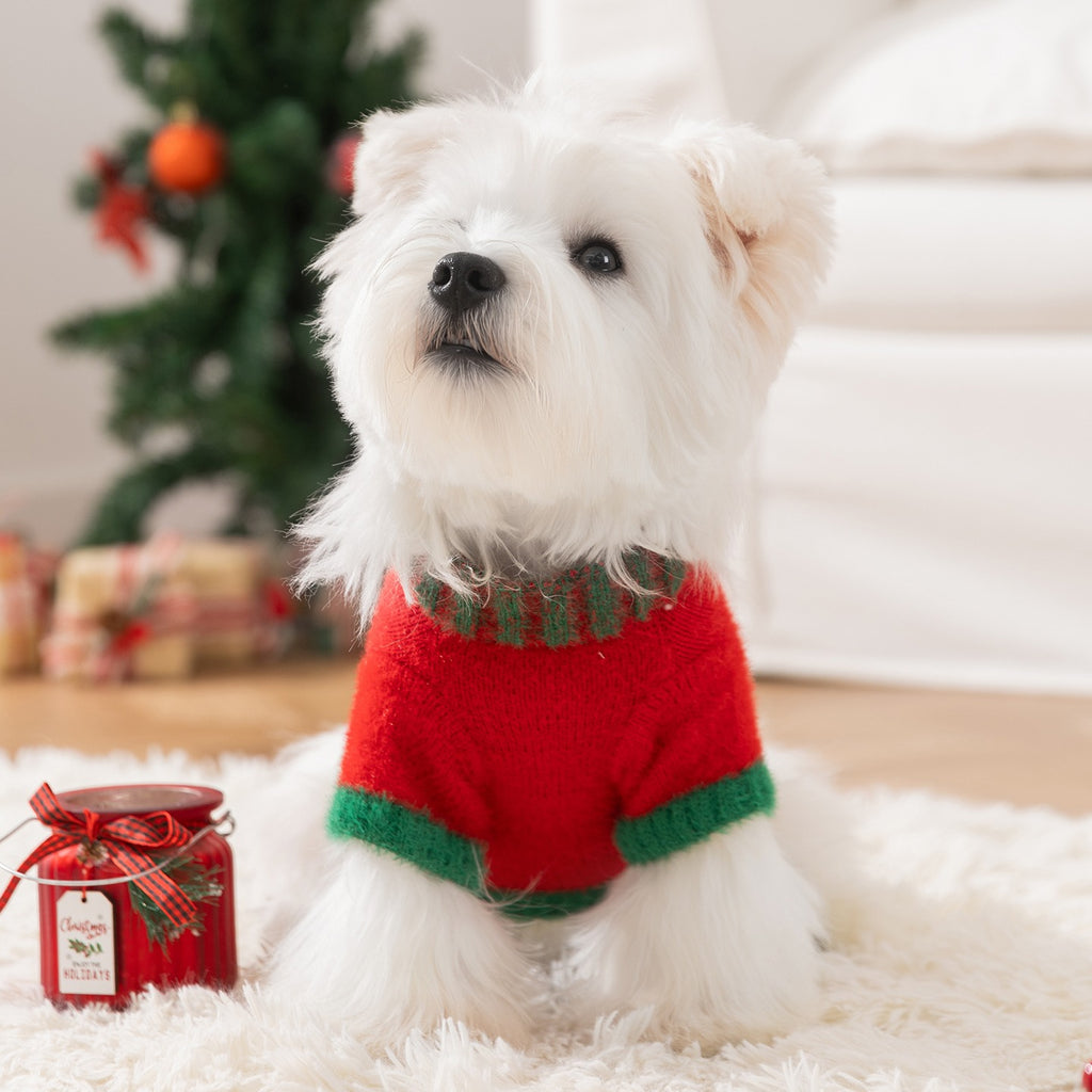 Roupinha Pet Natalina