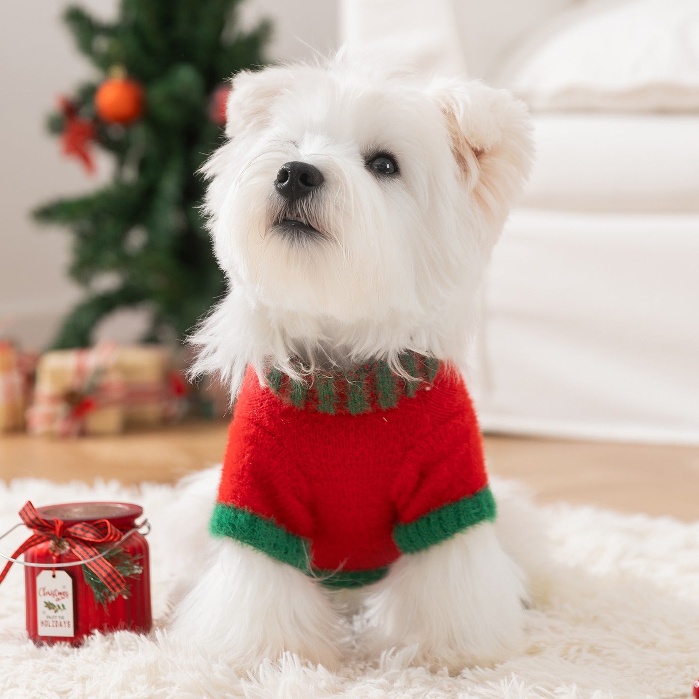 Roupinha Pet Natalina