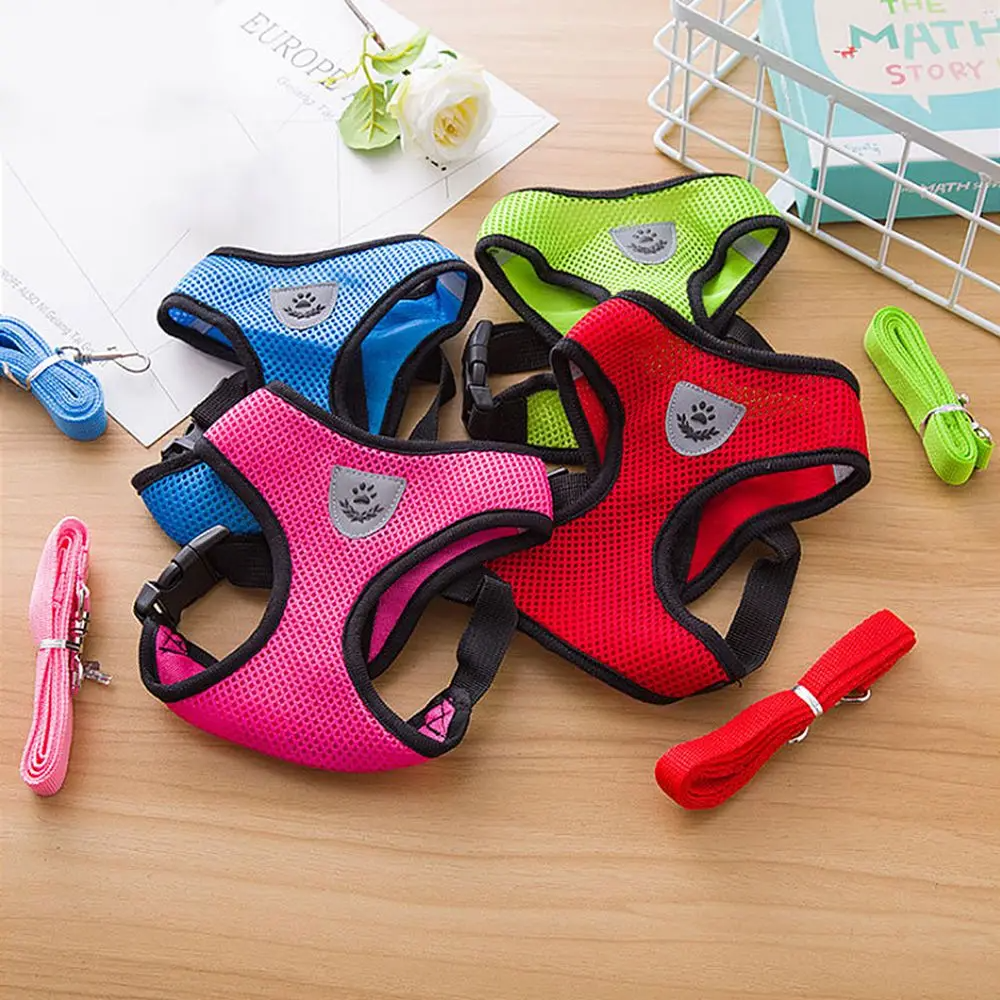 Coleira & Guia Pet Bunit