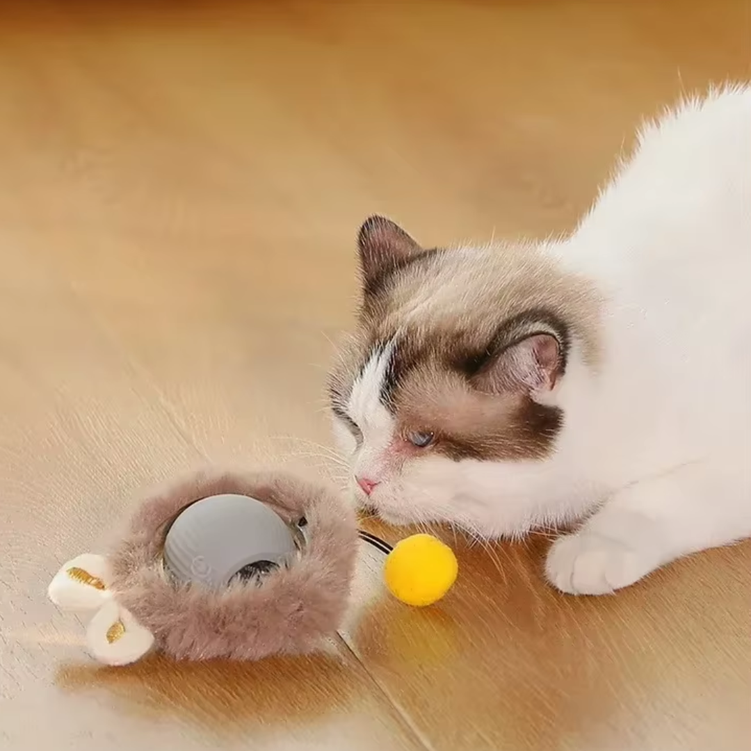 Bolinha Rolamento Automático Pet Kitys