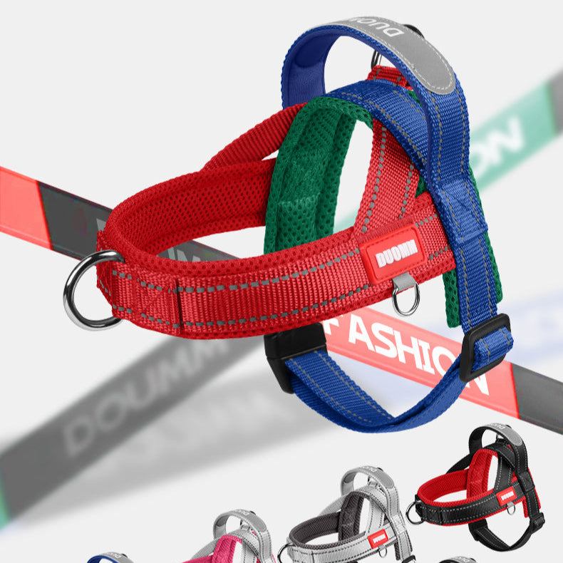 Coleira Pet Sem Restrição Touch