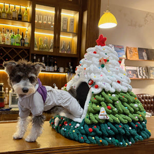 Caminha Pet Monte a Sua Árvore de Natal