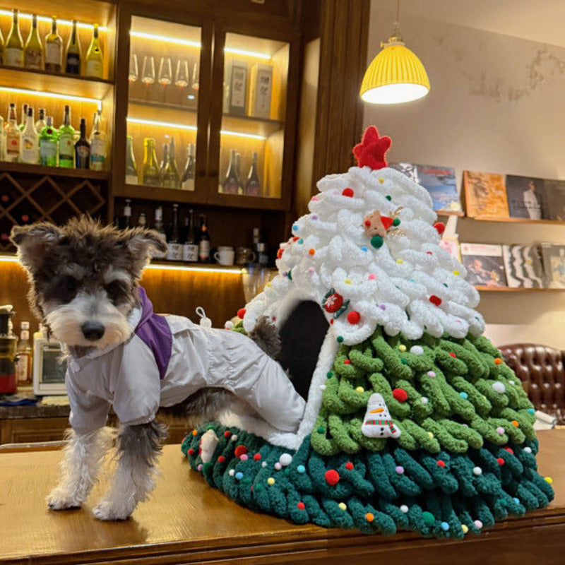 Caminha Pet Monte a Sua Árvore de Natal