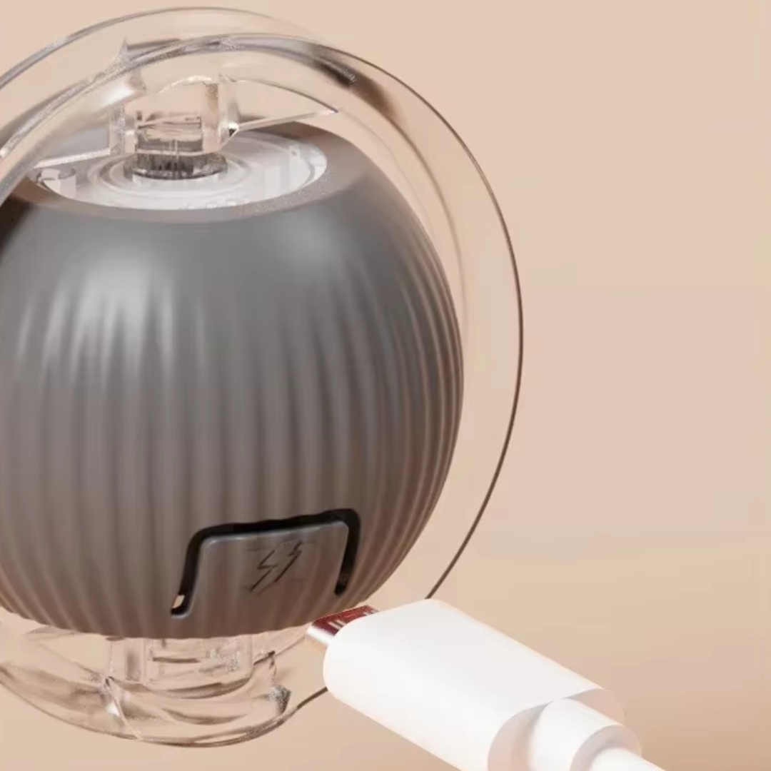 Bolinha Rolamento Automático Pet Kitys