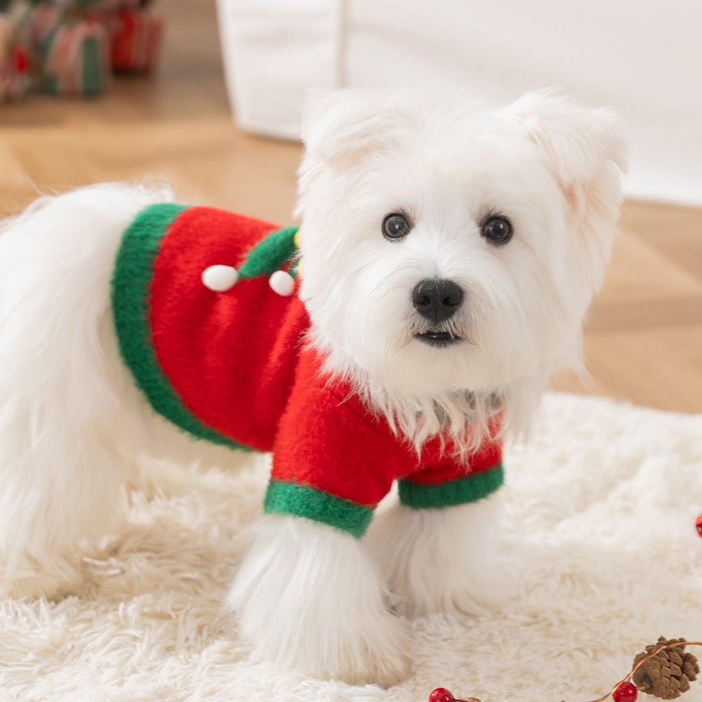 Roupinha Pet Natalina