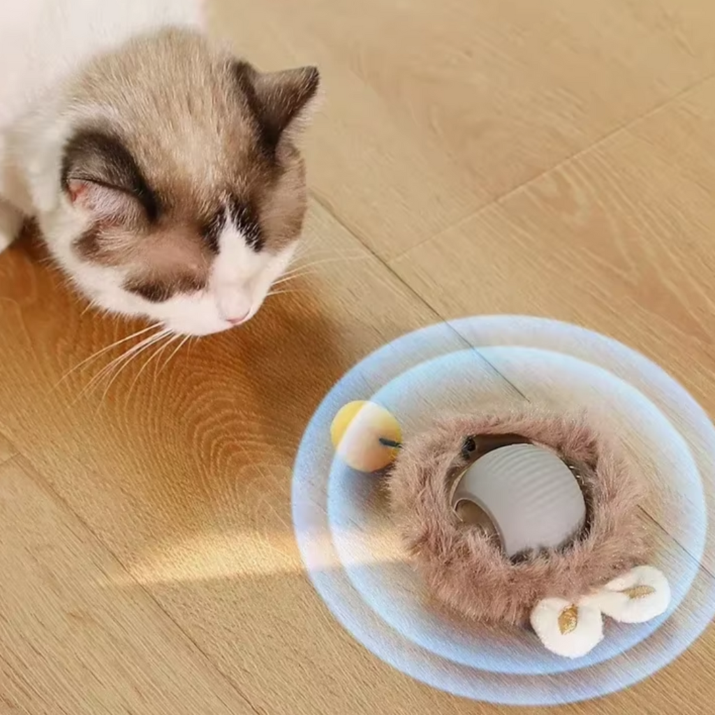 Bolinha Rolamento Automático Pet Kitys