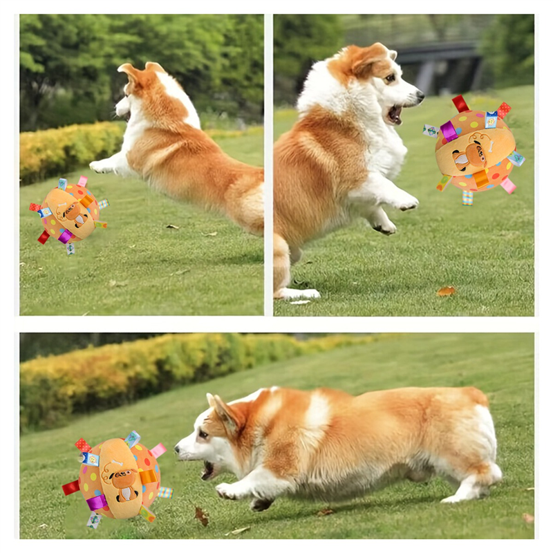 Brinquedo Bola Pet Mágica