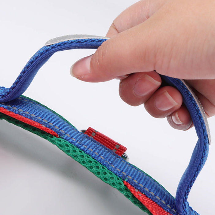 Coleira Pet Sem Restrição Touch