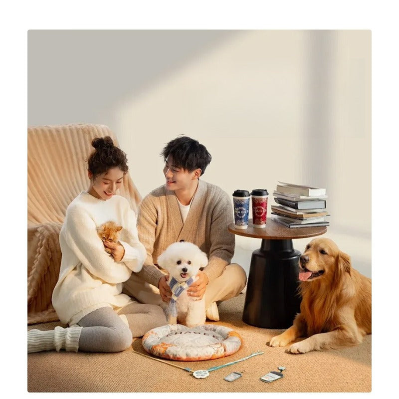 Caminha Pet Sofazinho