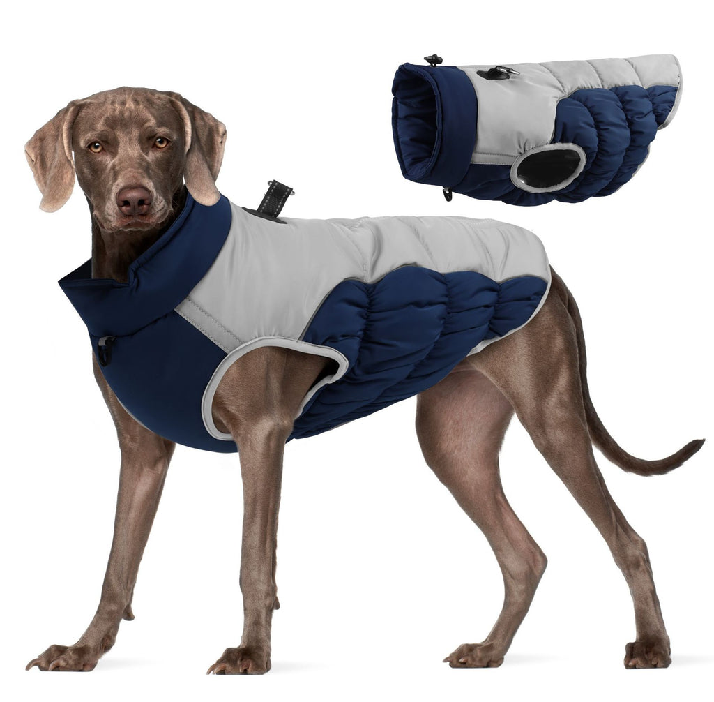 Jaqueta Pet Francesa