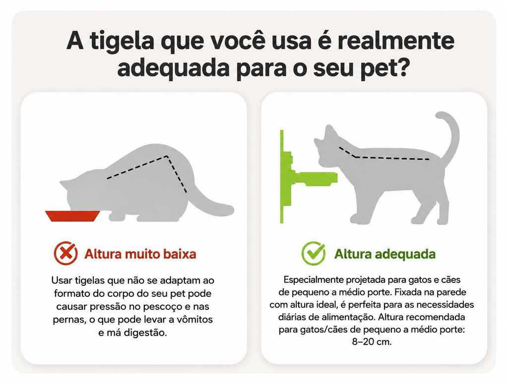 Tigela Elevada 2 em 1 Hug Bowl