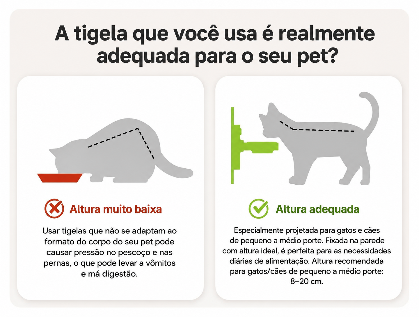 Tigela Elevada 2 em 1 Hug Bowl