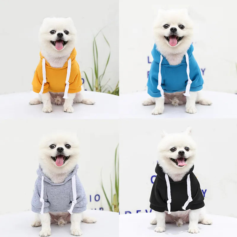 Moletom Pet Ragnar - pequeno até grande porte