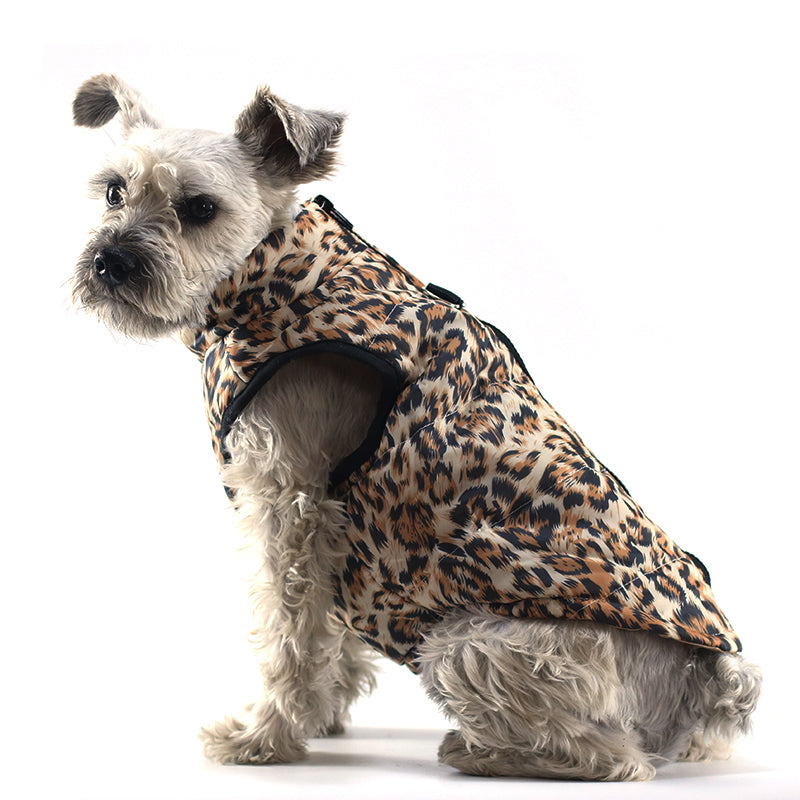 Colete Pet Hovedi
