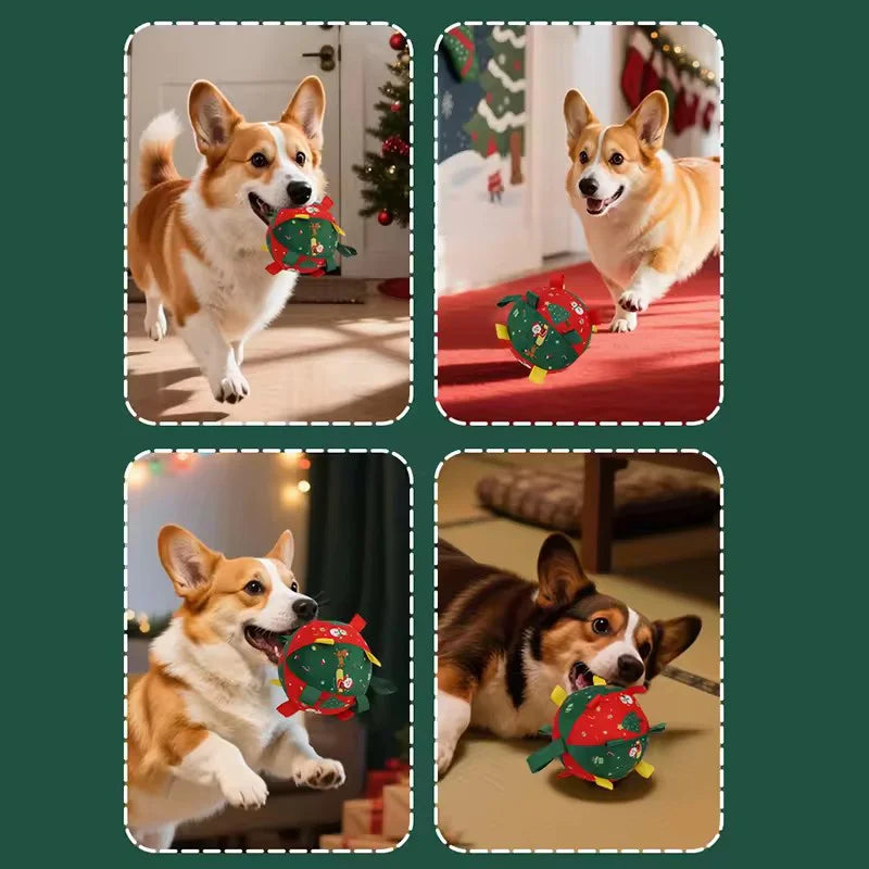 Brinquedo Bola Pet Mágica de Natal
