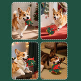 Brinquedo Bola Pet Mágica de Natal