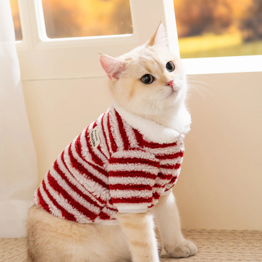 Casaquinho de Lã Pet Londres