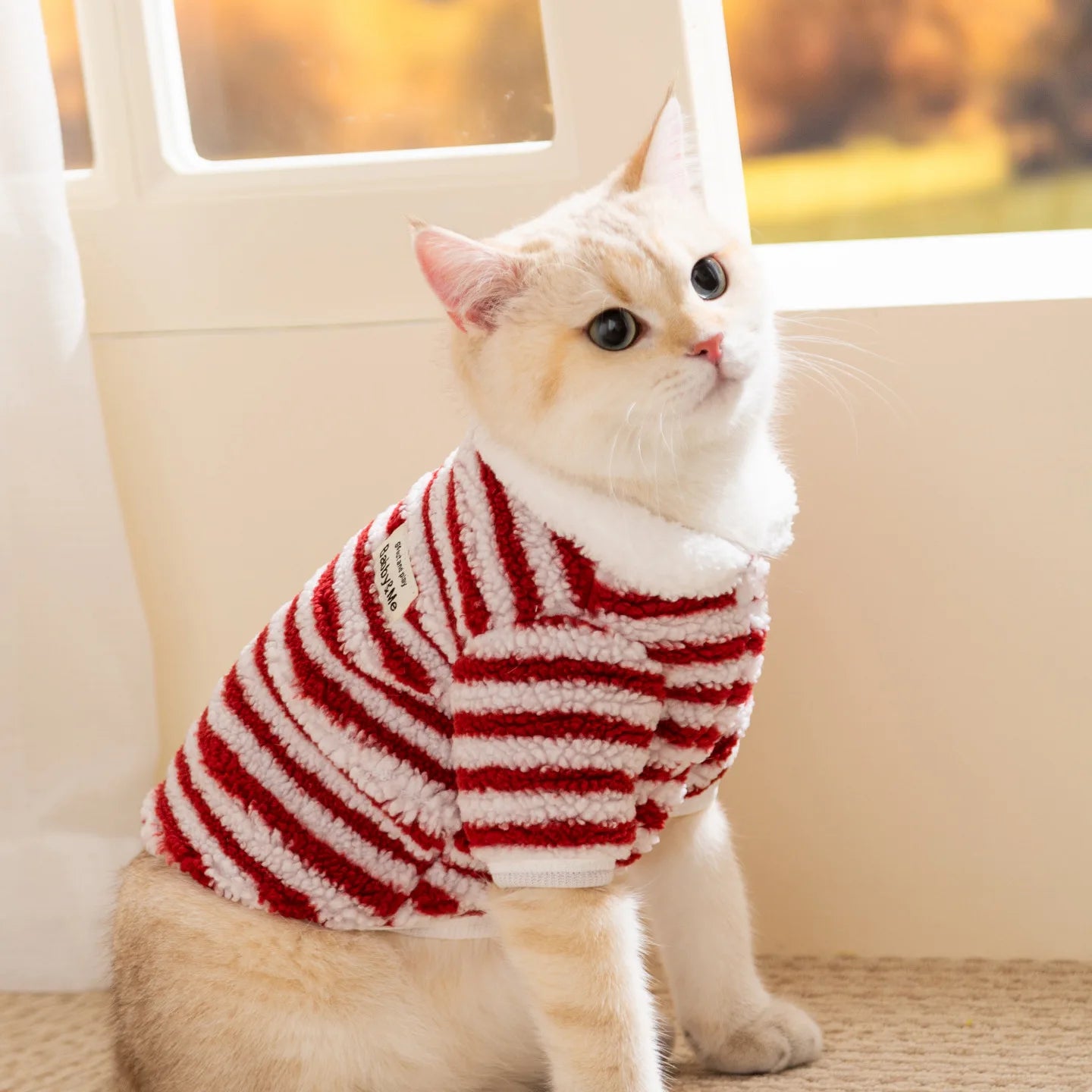 Casaquinho de Lã Pet Londres