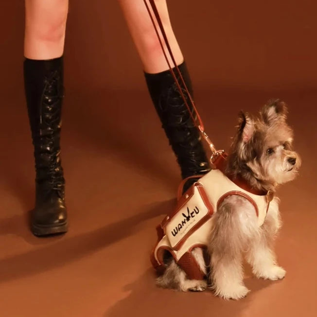 Mochila/Coleira com Elevação Pet Board