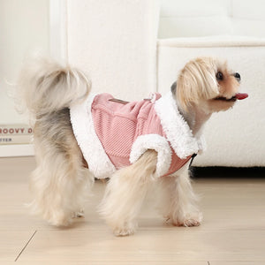 Colete Pet Aulove