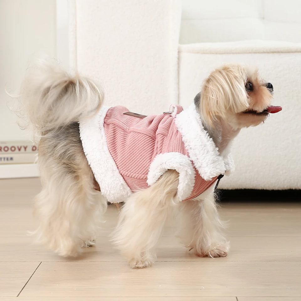 Colete Pet Aulove