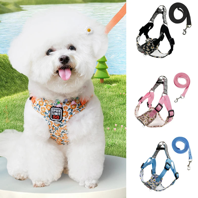 Coleira & Guia Pet Hannis