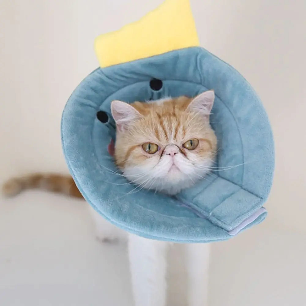 Colar Elizabetano Pet Almofadinha Fofa