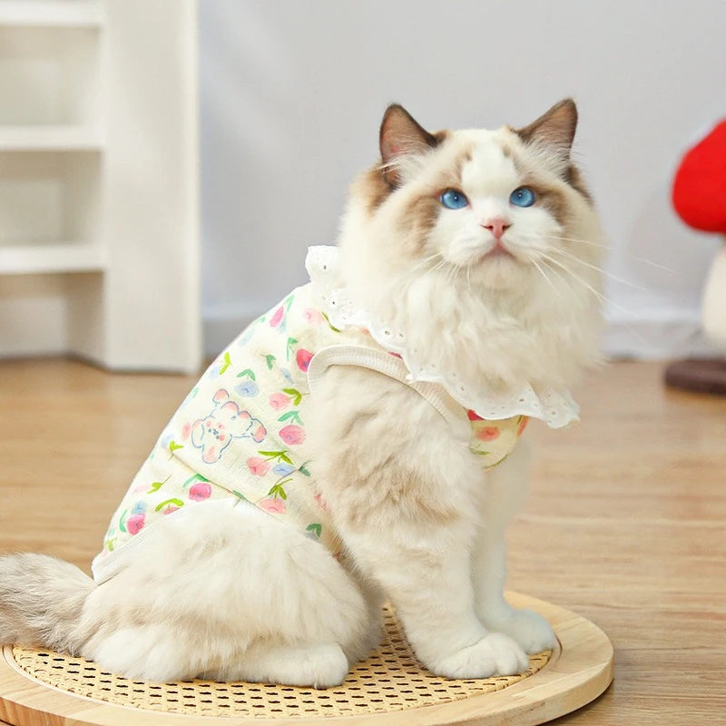 Blusinha Algodão Pet Lolipot