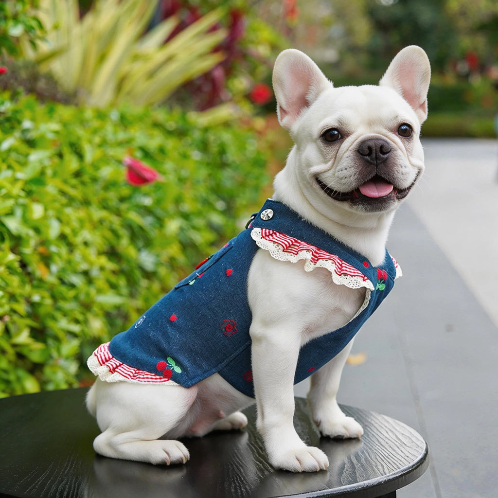 Vestidinho Jeans Pet Babadinhos