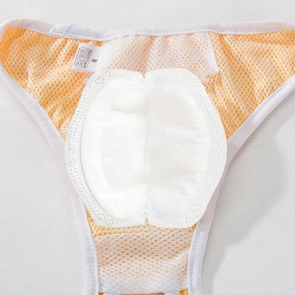 Absorvente para Fraldinhas Pet Femme - 20 ou 100 peças