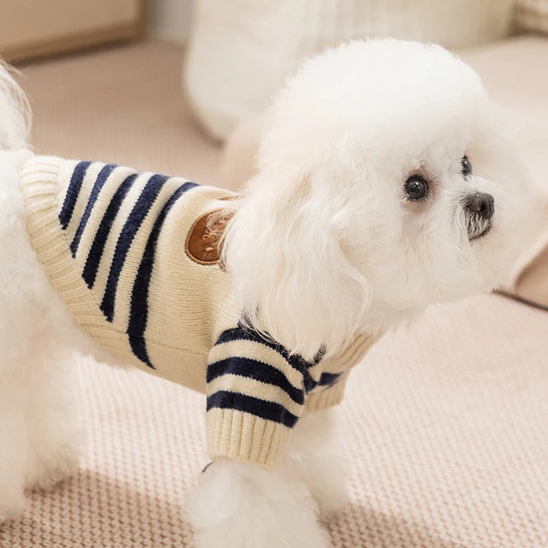 Tricot Pet Fofo Ursinhos