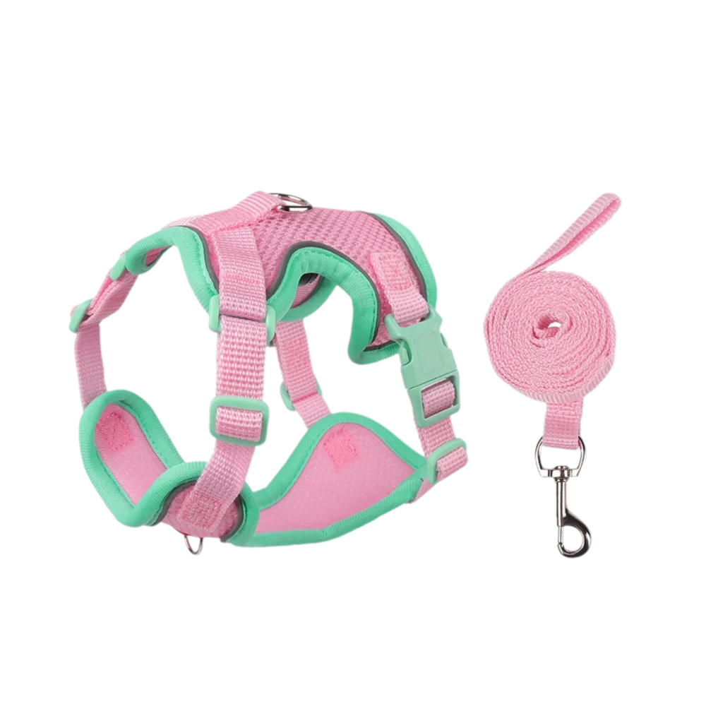 Coleira Pet & Guia Royale