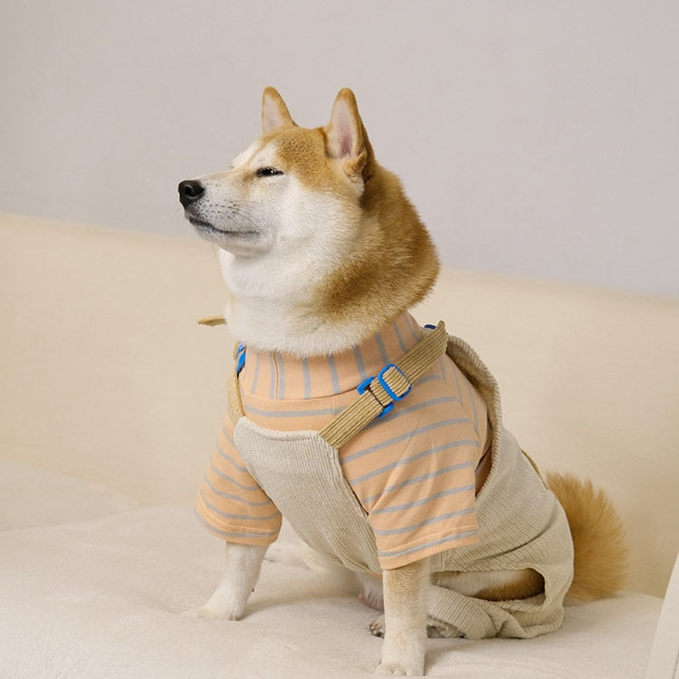 Macacão Pet Sapinho