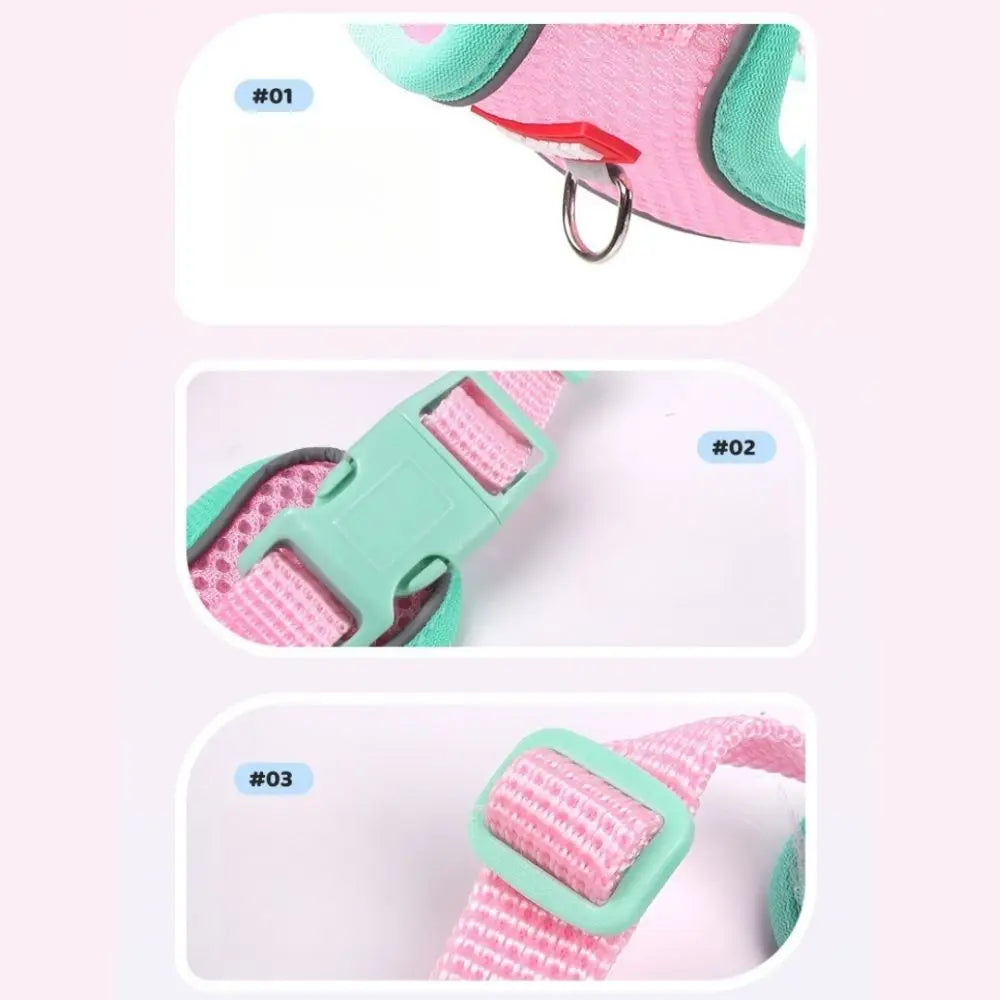 Coleira Pet & Guia Royale