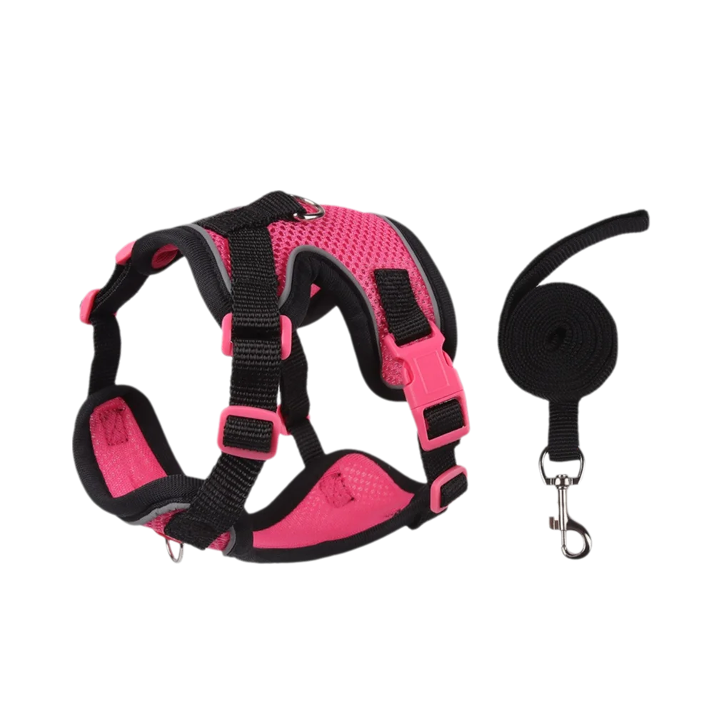 Coleira Pet & Guia Royale