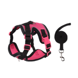 Coleira Pet & Guia Royale