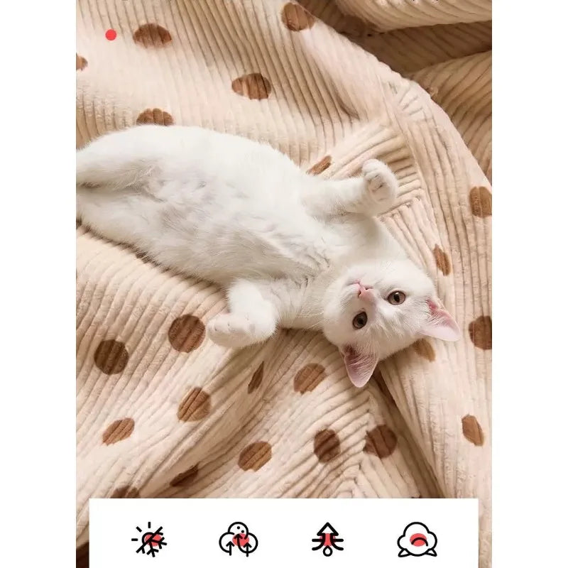 Sofá Cama Pet Ninni 2 em 1