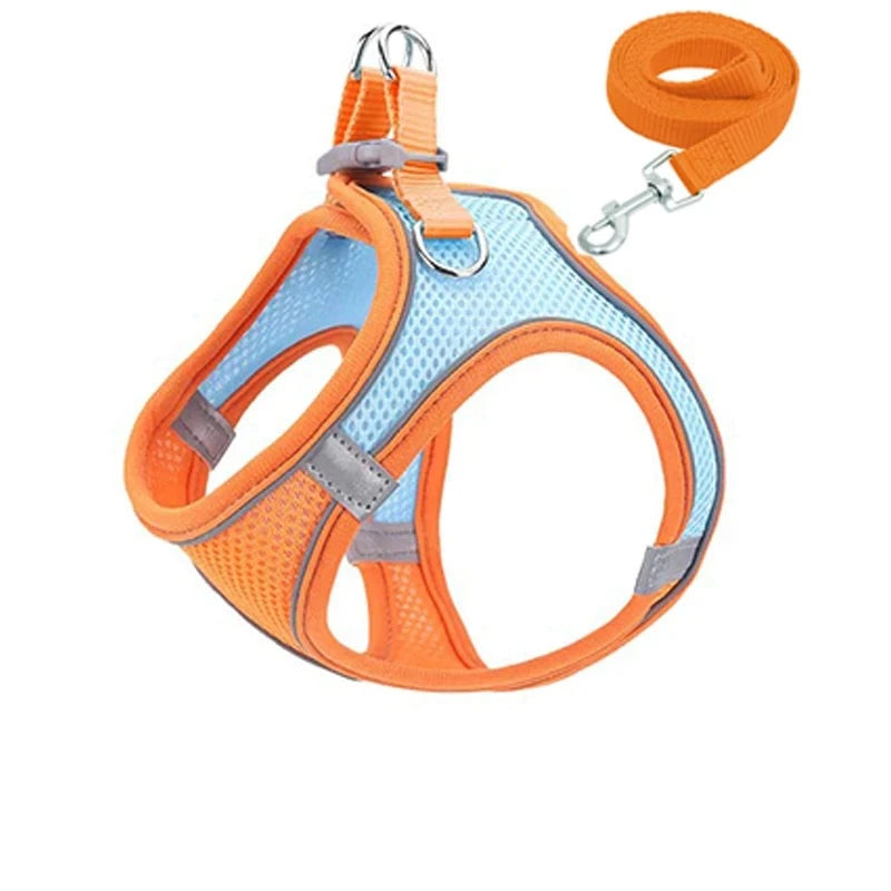 48053932458301|48053932491069|48053932523837|48053932556605|48053932589373|48053932622141