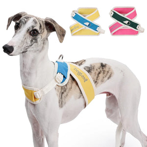 Coleira Pet Anti-puxão Acolchoada PetStyle