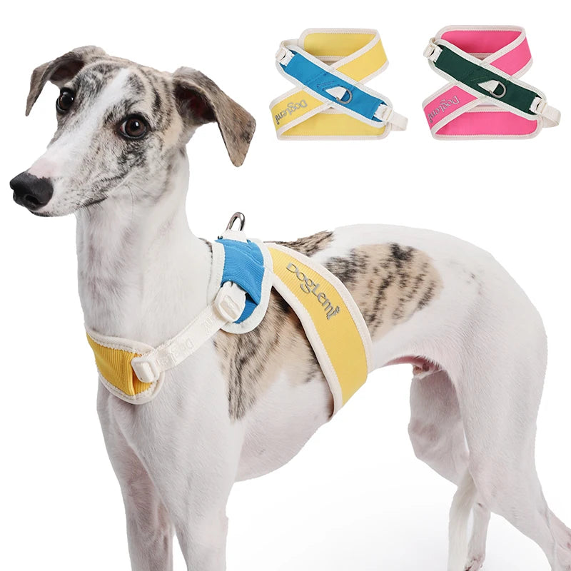 Coleira Pet Anti-puxão Acolchoada PetStyle