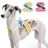 Coleira Pet Anti-puxão Acolchoada PetStyle